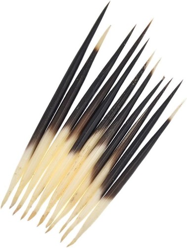 10pcs black porcupine quills - black,