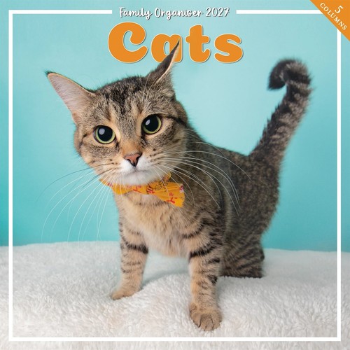 Cats family organiser - family,