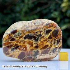 Large A Grade Borneo Amber