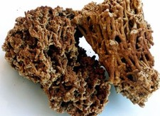 Aquarium Stone Ocean Rock Fish