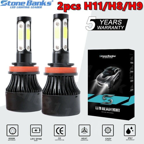 H11 xenon headlight - 2x,