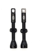 Tubeless tire presta valves - tire,