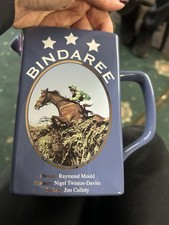 Bindaree Grand National Winner