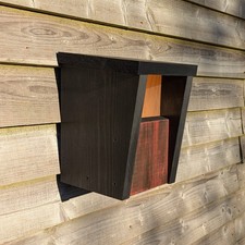 Robin Nest Box. Premium Open