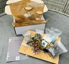 DIY Terrarium Kit | Everything