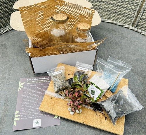 Diy terrarium kit everything - kit,