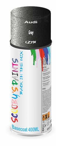 For audi spray paint - paint, aerosol