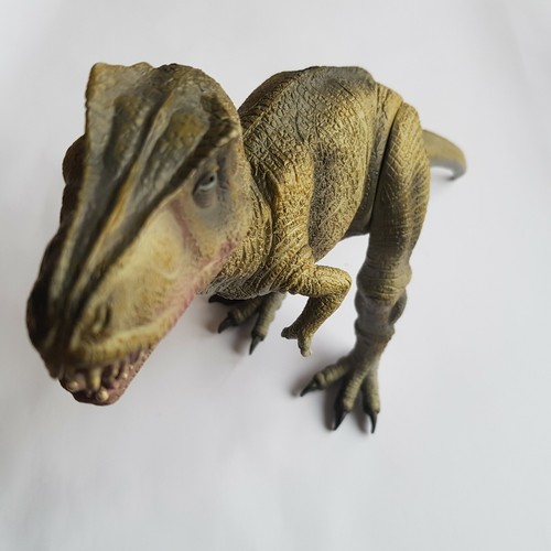 Tyrannosaurus rex dinosaur - tyrannosaurus,