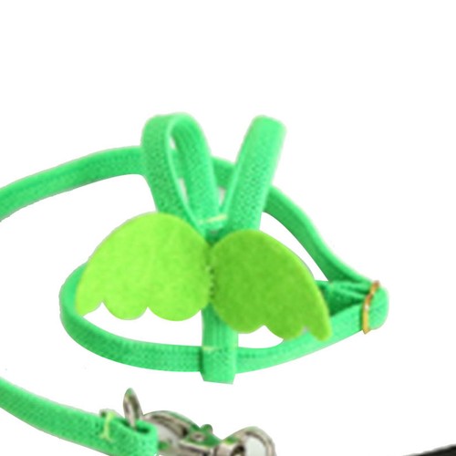 Pet bird harness - pet,