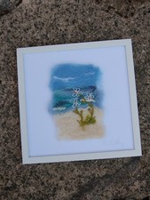 Daisies on the beach - Framed
