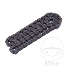 BorgWarner Endless Cam Chain