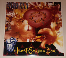 SIGNED KRIST NOVOSELIC NIRVANA