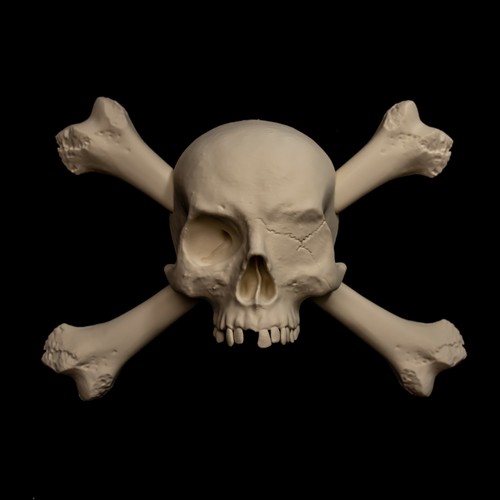 Pirate skull crossbones wall - pirate,