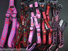 HEM AND BOO, PUPPY/ DOG & CO