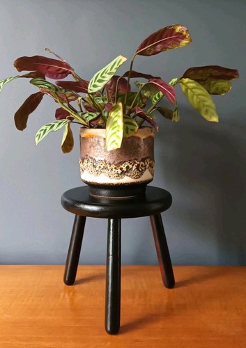 Vintage black enamelled - enamelled, wooden