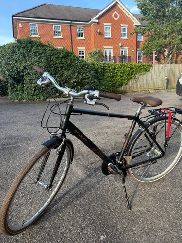 Raleigh pioneer grand tour - raleigh,