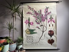 Vintage HEATHER school chart