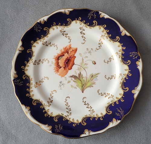 Samuel alcock hand painted - alcock,