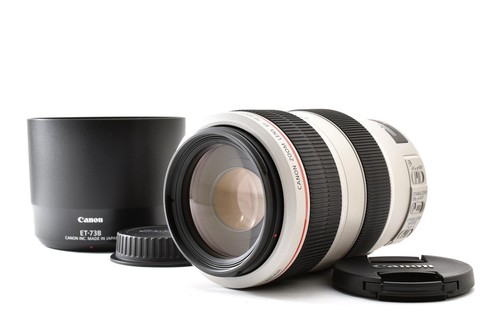 Canon 300mm 5 6 l - ef, 70-300mm