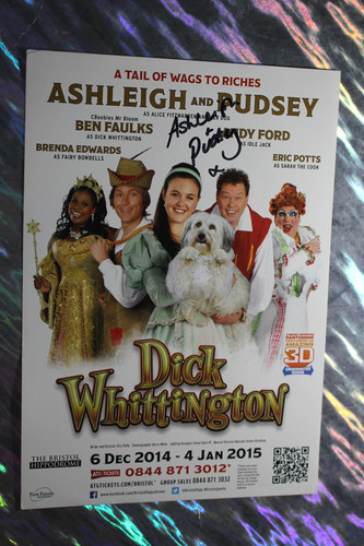 Ashleigh and pudsey - pudsey, (britain's