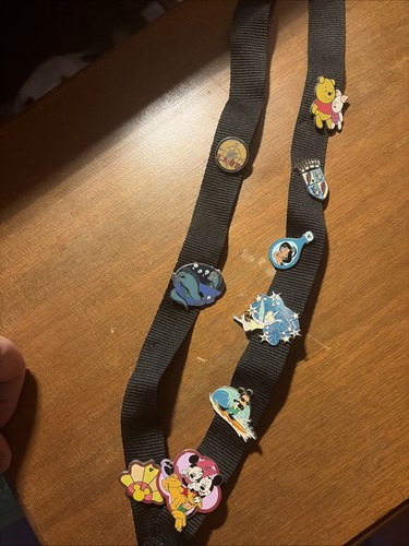 Disney lanyard and pins - lanyard,