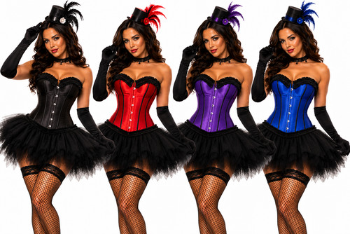 Burlesque costume corset - corset, dress