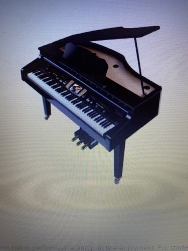 Baby grand piano - piano, roland