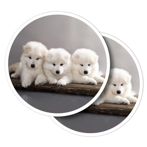 Vinyl stickers samoyed - vinyl,