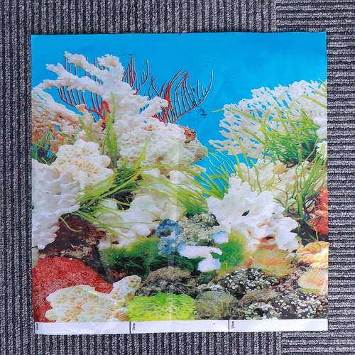 Aquarium decoration - aquarium,