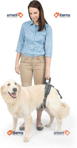 Petsafe rear support harness - rear,