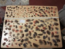 Eclectus Parrot Bird Feathers Naturally Moulted Mix Bag: Arts, Crafts Bag 2