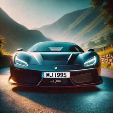 MJ I995 Private Reg Number