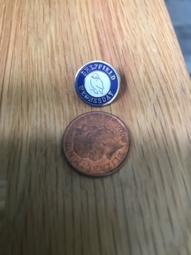 Sheffield wednesday owl pin - wednesday,