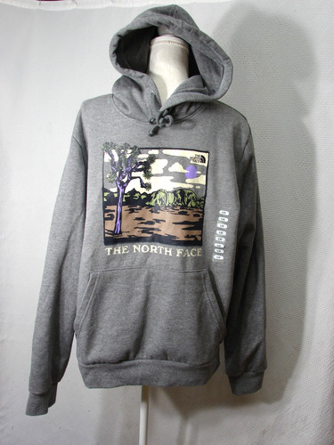 The north face hoodie evo - face,
