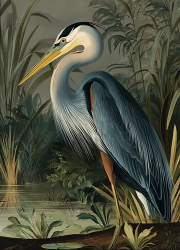 Morris style heron animal - wm,