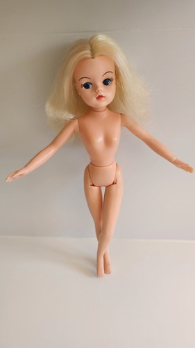 Pedigree sindy blonde active - blonde,