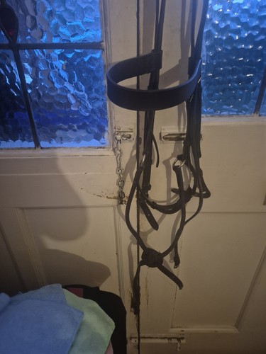 Full sized bridle with grackle - bridle,