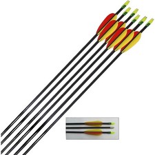 Petron Archery Target Arrows Fibreglass 28 inch - round ends