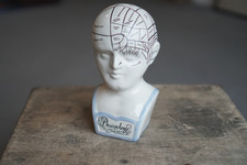 Vintage Style Phrenology Ceramic Head Bust L.N Fowler