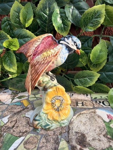 Beswick bird the - the, chickadee