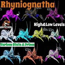 Rhyniognatha Rhynio High&Low