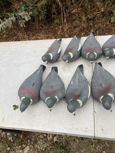 Full body pigeon decoys - full,