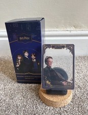 Harry Potter Professor