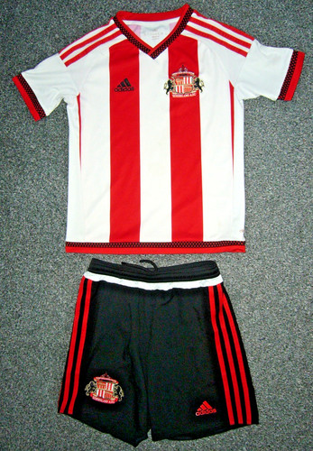 Sunderland afc football team - afc,