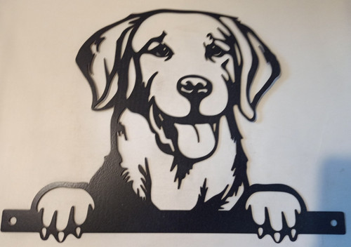 Labrador retriever dog fence - labrador,