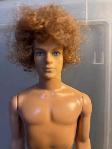 2005 afro curly hair ken - afro, ken,