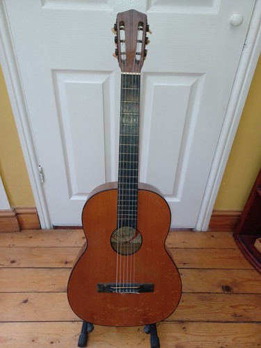 Tatra classical acoustic - tatra,