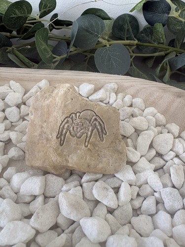 Jumping spider stone - spider, ornament