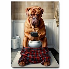 Dog on Toilet Texting  Funny