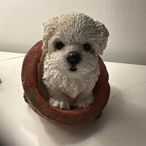 Adorable puppy pot latex - in,